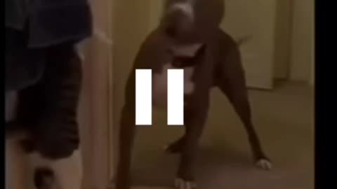This is not the time
