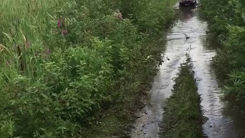 Fun times four wheeling