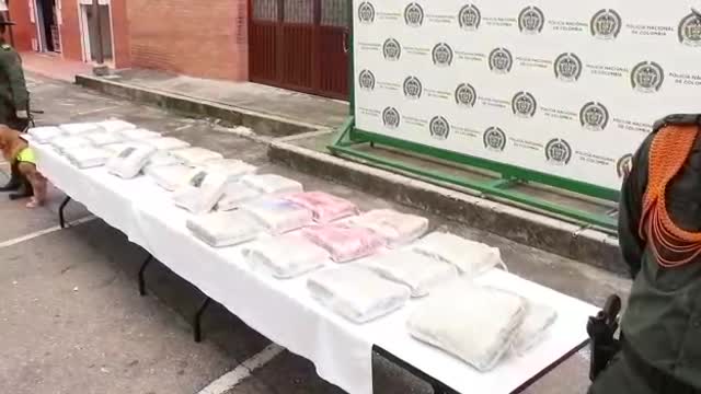 Caninos antinarcóticos hallaron 45 kilos de marihuana dentro de dos puertas en Girón