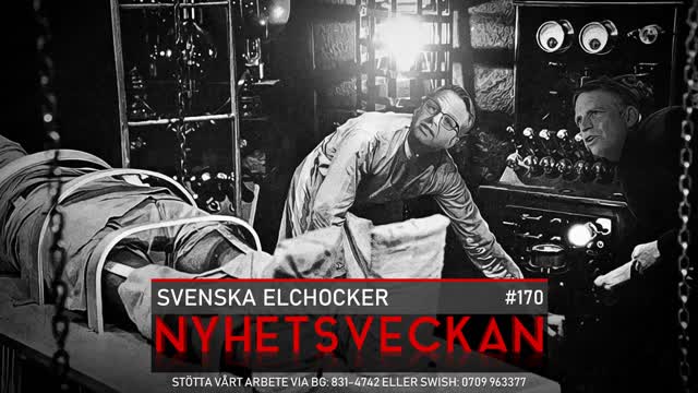 Nyhetsveckan 170 - Svenska elchocker, kunglig förödmjukelse, nytt parti