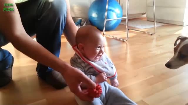 Funny Babies Laughing Hysterically at Dogs Complication