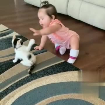 Kitten play with baby