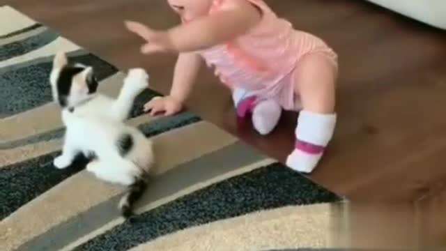 Kitten play with baby