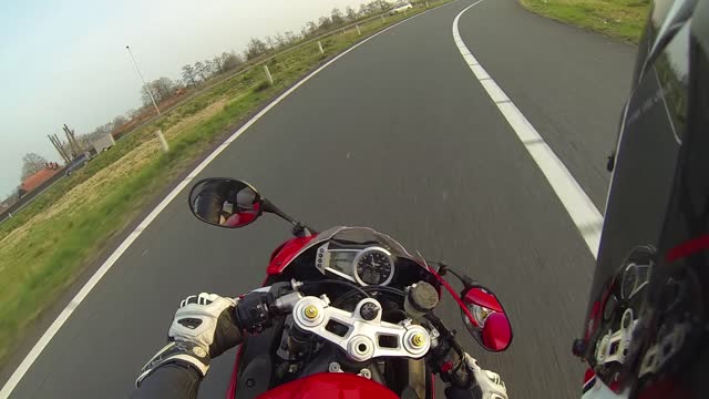 Angry Birds VS Triumph Daytona