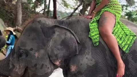 Enjoying her vacation at Elephant Sanctuary.