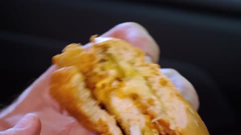 One Bite Challenge_ Chicken Sandwich Edition!!!!