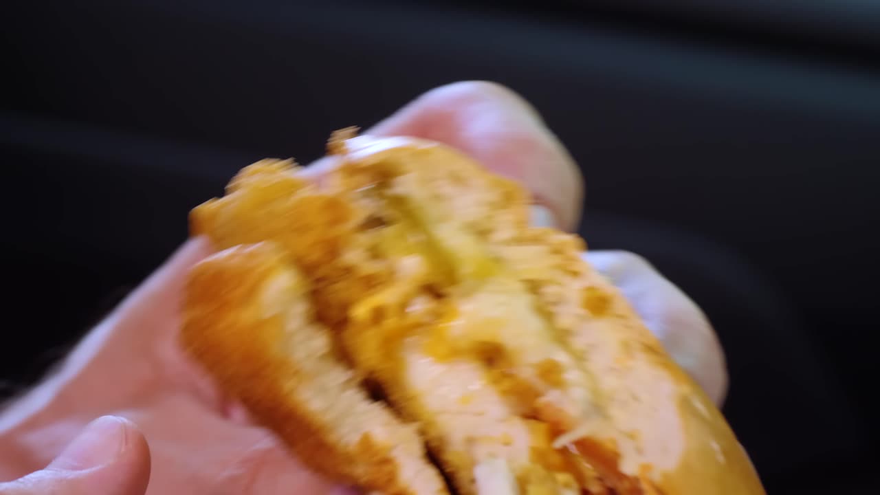 One Bite Challenge_ Chicken Sandwich Edition!!!!