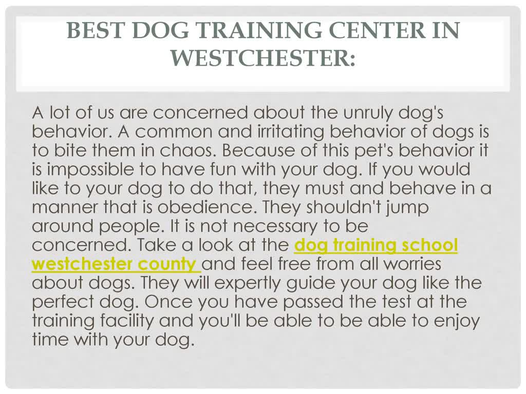 dog training school westchester county