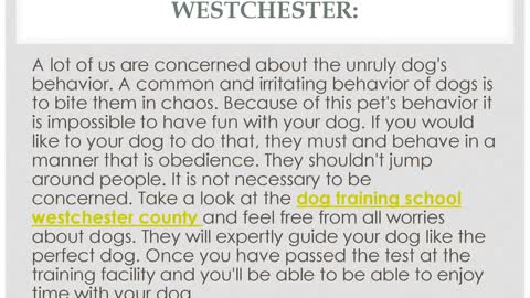 dog training school westchester county