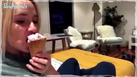 ЛУЧШИЕ ПРИКОЛЫ С ЖИВОТНЫМИ ПОДБОРКА | BEST FUNNY ANIMALS COMPILATION