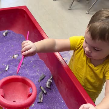 Sensory fun!