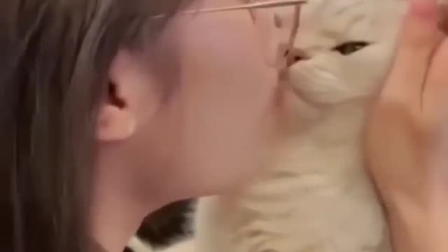 Crazy Cats🐶Funny Fail ops Moments II Best video for laugh