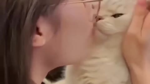 Crazy Cats🐶Funny Fail ops Moments II Best video for laugh
