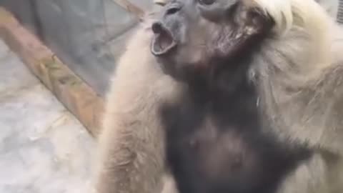Funny behaviour