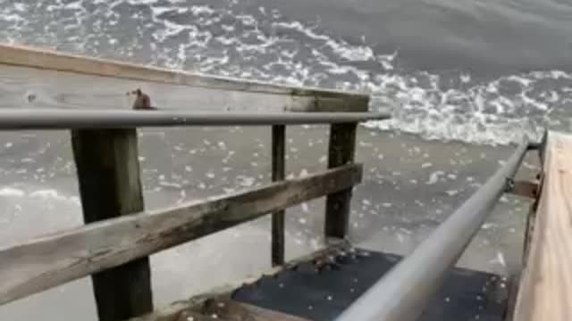 Ocean waves from the Pier