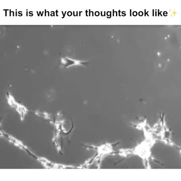 What do your Thoughts look like? When you make Connections... BOOM!