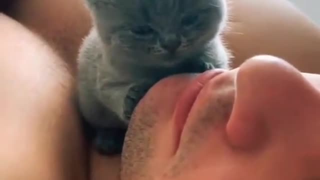 Cat love man