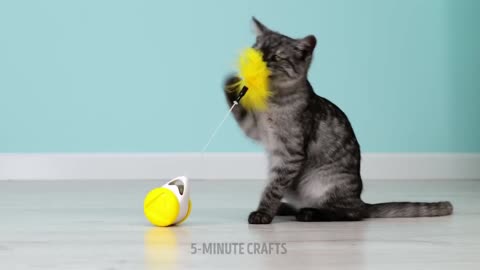 Awesome hacks for pet owners_cute diys_fun toys and useful