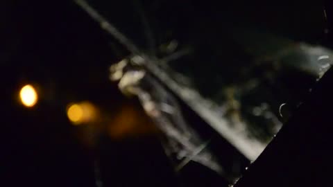 Black spider makes its home at night