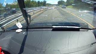 Tree Falls Across Highway Into Unlucky Motorist