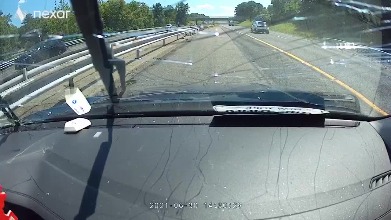 Tree Falls Across Highway Into Unlucky Motorist