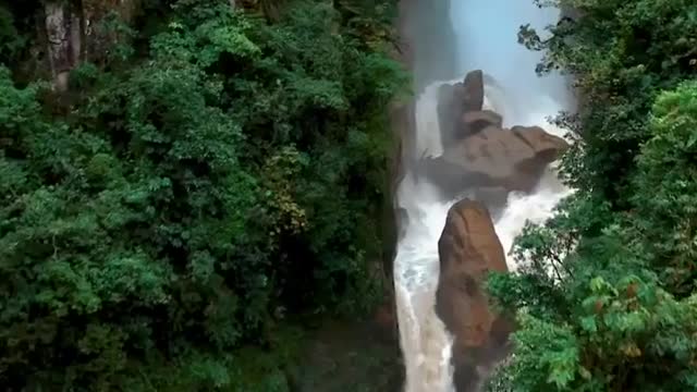 A roaring waterfall from Ecuador