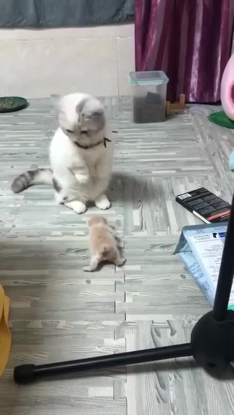 Whose child is this? 😆