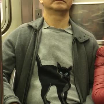 Man in grey cat shirt is asleep on the subway