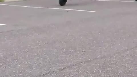 Stunt show