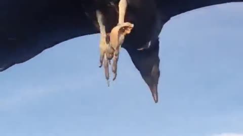 Air chat with a friend