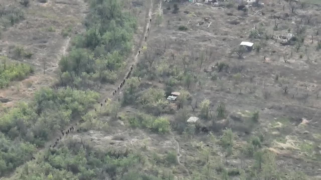 🇺🇦 Ukraine Russia War | Long Column of Russian Infantry in Avdeevka Area | RCF