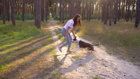 #dog funny video# very funny -- Hot funny video --- fun video