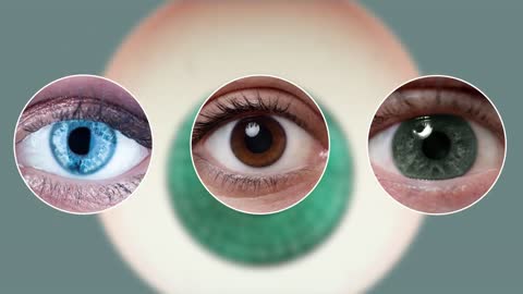 How human eyes works - Human Eyes Vision Center