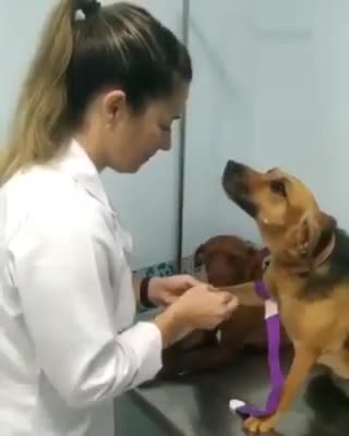 Give love ,beautifull life