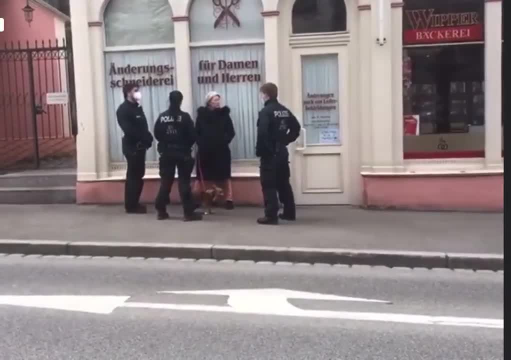Възрастна жена разхожда кучето си без сертификат и бива арестувана