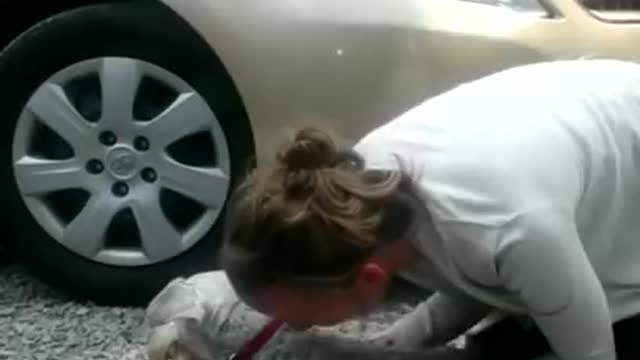 Long lost Dog Passes out of excitement after reuniting with owner.