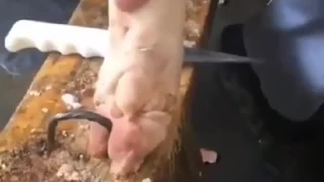 Some kitchen tricks that make life easier