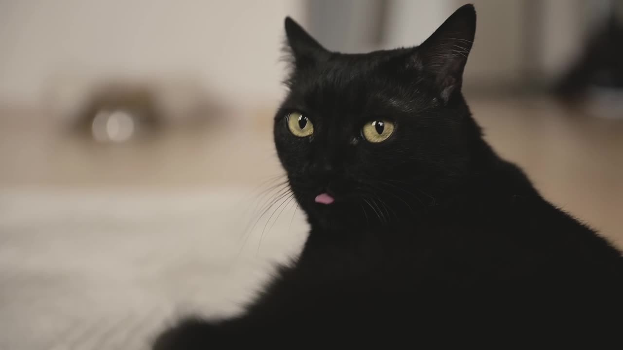 Tongue_Licking_Slowmo