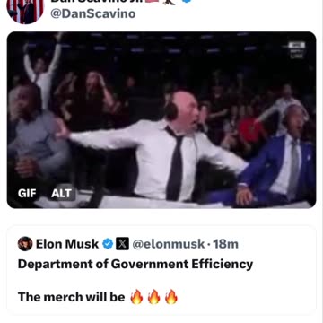 Department of government efficiency