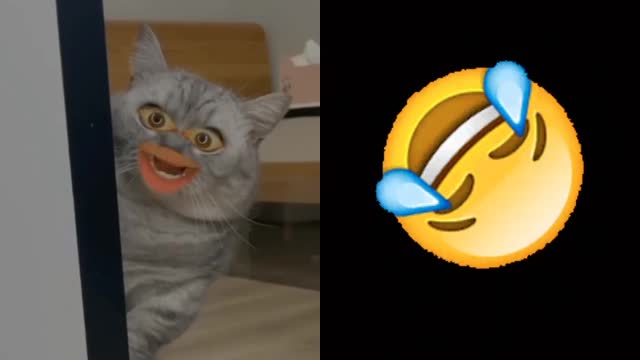 Bagar billa #1 🤣🤣🤣