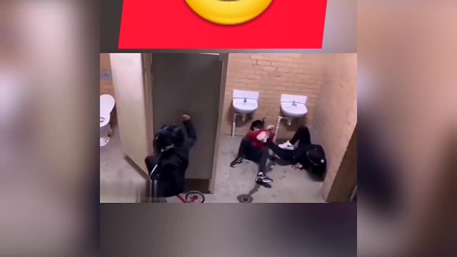 Funny Videos That Everyone Loves A Lot2