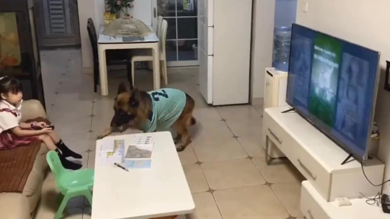 Dog Warns Kid Parents Are Coming