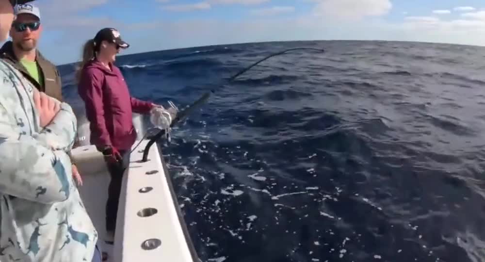 Catch more than 300 catties of large swordfish