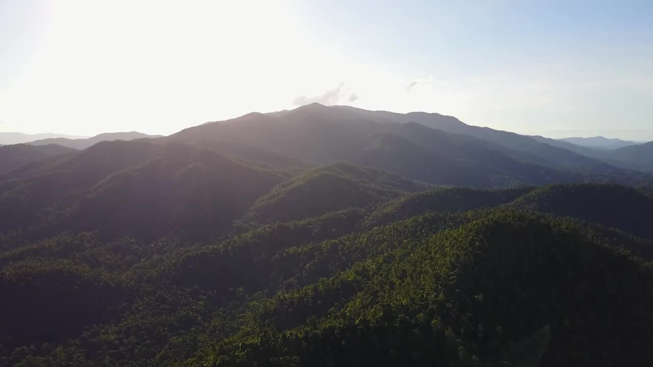 MISSION BEACH RAINFOREST, AUSTRALIA (Rainforest Sounds) | 4K Mavic Pro Drone