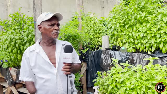 Los patios productivos de Olaya Herrera