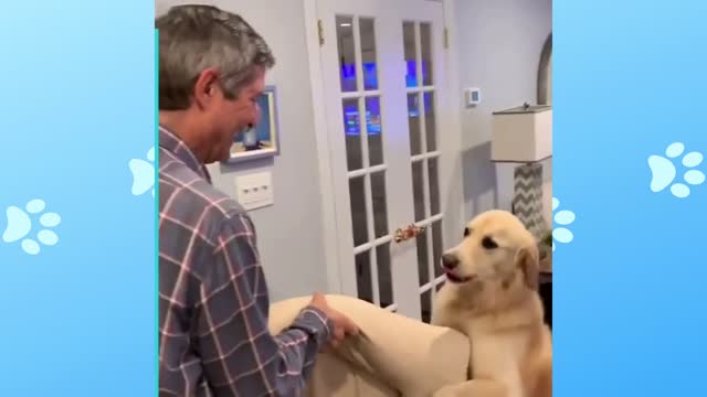 Dog helping to change his own bed