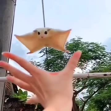 I can't stop watching this. 😂😍