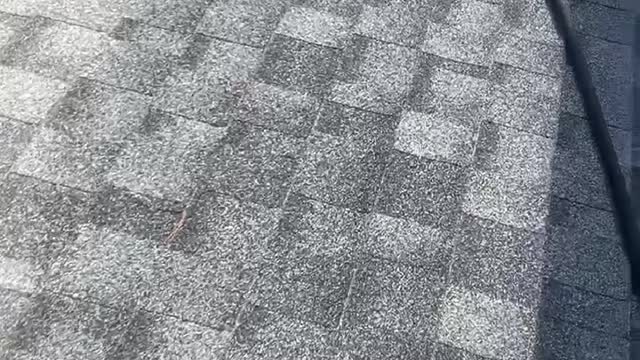 All Blast Power Washing - Gutter Cleaning Service