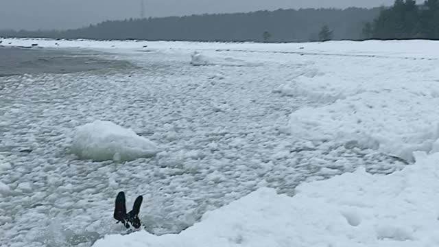 Dive into Icy Water Has Unexpected Result