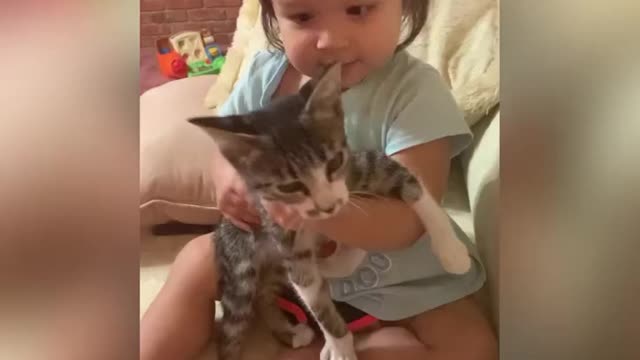 baby girl and her kitten